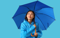 What is an umbrella company?
